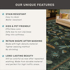 2x3 Entry Way Rugs Indoor - Image 7