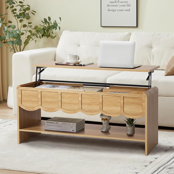 Lift Top Coffee Table with Hidden Compartment, 2 Tier Wooden Center Table with by ORRD