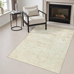 Area Rug Living Room: 3x5 Modern Washable Indoor Soft Carpet Beige | by FXRHLP