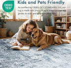 8x10 Ft Large Area Rugs for Living Room, Soft Non-Slip Washable Rugs Modern - Image 4