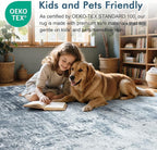 6x9 Ft Large Area Rugs for Living Room, Soft Non-Slip Washable Rugs Modern - Image 5