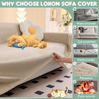 Loiion Cat Scratch Furniture Protector - Image 7
