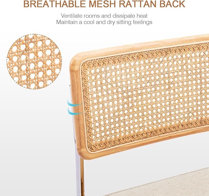 Zesthouse Natural Rattan Dining Chairs Set of 2, Mid Century Modern Dining - Image 3