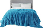 Bedsure GentleSoft Fluffy Bright Blue Blankets Queen Size by Unknown