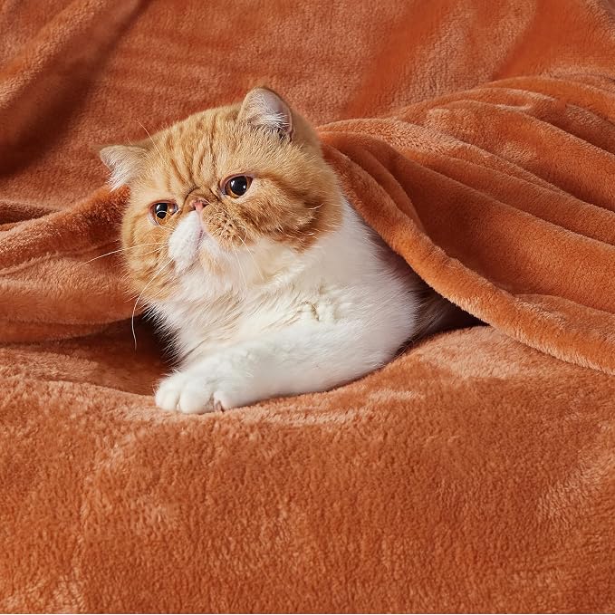 Bedsure GentleSoft Orange Fleece Throw Blanket - Image 2