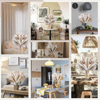 300PCS Natural Pampas Grass Mix Bouquet | Dried Pampas Bouquet - Image 7