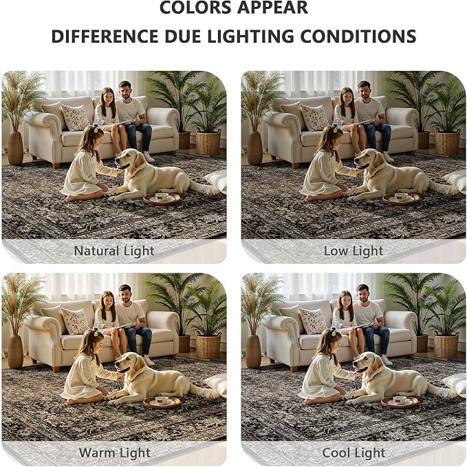 8x10 Area Rugs for Living Room - Image 7