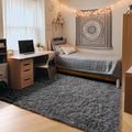 Grey 3x5 Rugs for Bedroom, Fluffy Gray Bedside Area Rug, Ultra Soft Shaggy by ONASAR