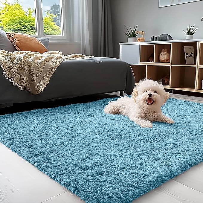 OLANLY 3x5 Machine Washable Small Bedside Rug, Soft Fluffy Shaggy Rugs by OLANLY