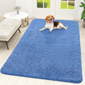 OLANLY Dog Door Mat for Muddy Paws 70x46, Super Absorbent Chenille Mud Mat | by OLANLY