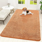 OLANLY Dog Door Mat for Muddy Paws 70x46, Super Absorbent Chenille Mud Mat | by OLANLY