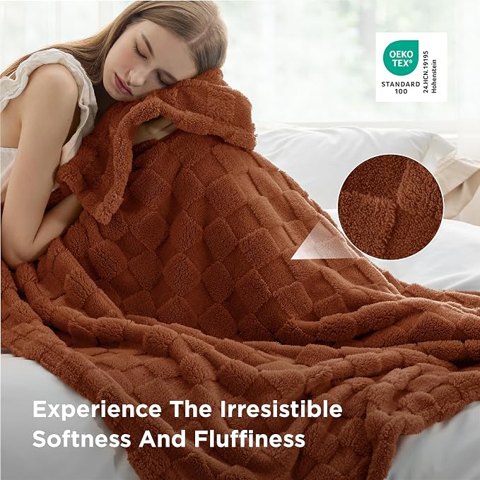 Bedsure GentleSoft Twin XL Blanket - Image 4