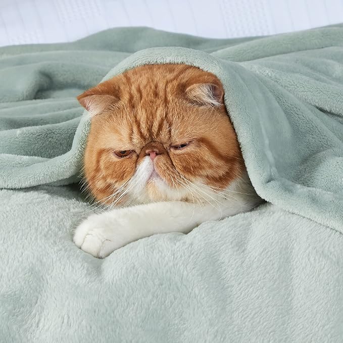 Bedsure GentleSoft Bedding Fleece Blanket - Image 6