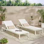 Christopher Knight Home Cynthia Outdoor Chaise Lounge - Image 2