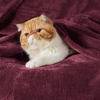 Bedsure GentleSoft Fleece Blankets Queen Size Red - Image 2