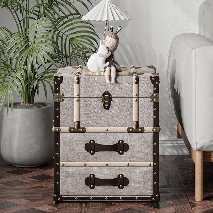 Aoikax Vintage Storage Chest by Aoikax