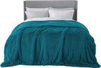 Bedsure GentleSoft Fluffy Turquoise Teal King Size Blanket by Unknown