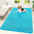 OLANLY Dog Door Mat for Muddy Paws 59x35, Super Absorbent Chenille Mud Mat | by OLANLY