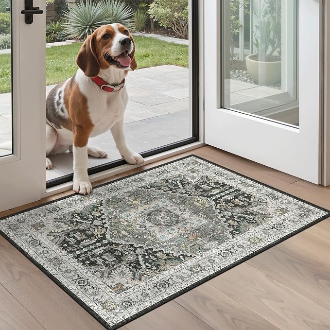 Madane Washable Area Rug 2x3 Small Entryway Rugs, Non-Slip Floor Carpet - Image 2