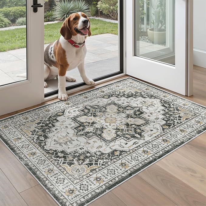 Madane Washable Entry Rug 3x4 Area Rugs - Image 2