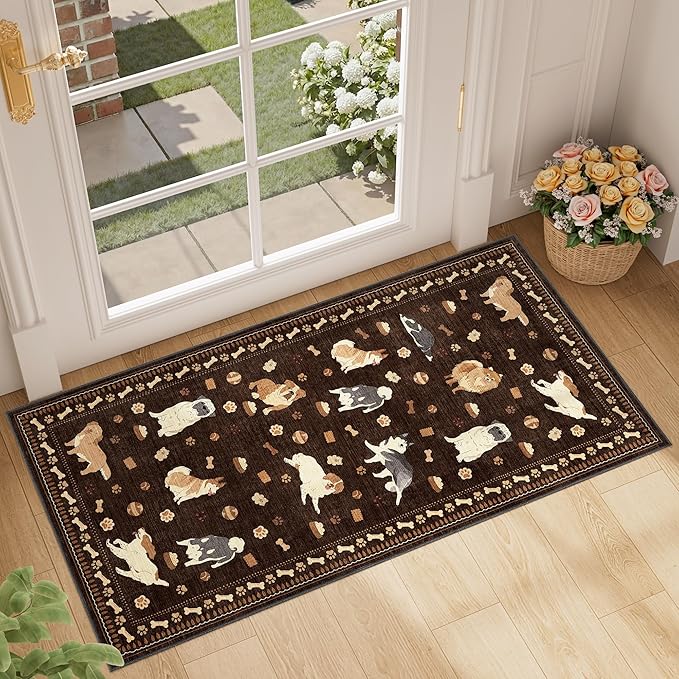 DUKINO 2x4 Rug Runner, Washable Dog Bathroom Rug Soft Non Slip, Non-Shedding by DUKINO