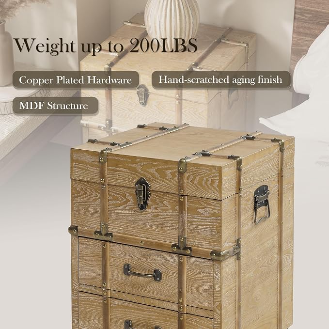 Aoikax Vintage Storage Chest - Image 4