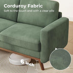 Vesgantti 68" Loveseat Sofa - Image 5