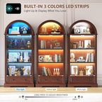Dystler Curio Cabinet with Glass Doors, 4-Tier Display Case - Image 4