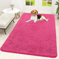 OLANLY Dog Door Mat for Muddy Paws 59x35, Super Absorbent Chenille Mud Mat | by OLANLY