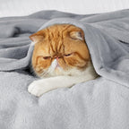 Bedsure GentleSoft Bedding Fleece Blanket - Image 6