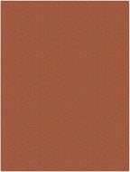 KOZYFLY Washable 3x4 Woven Entry Area Rug, Braided Throw Rugs - Image 10