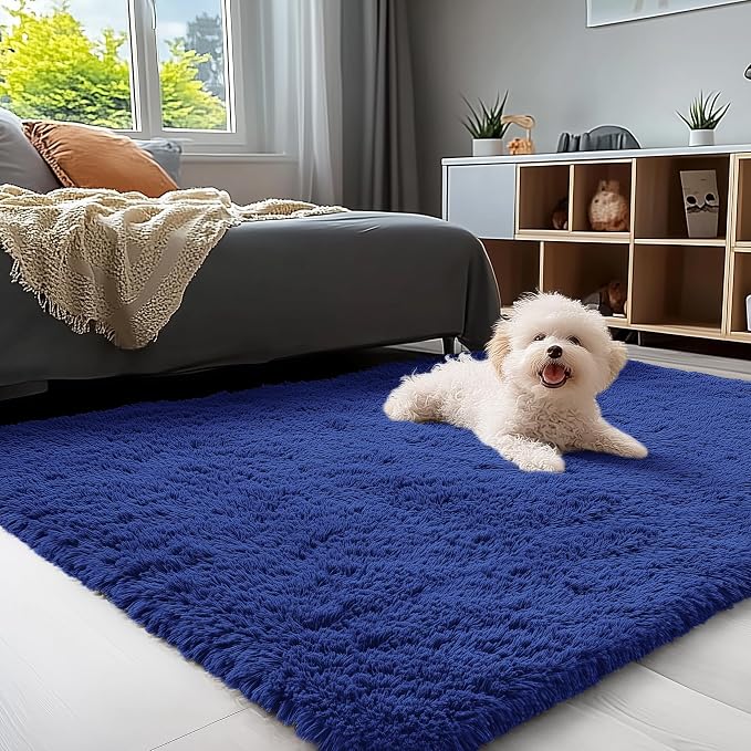 OLANLY 3x5 Machine Washable Small Bedside Rug, Soft Fluffy Shaggy Rugs by OLANLY