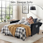 Sleeper Sofa Bed, Guest Room - Image 3
