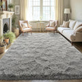 LOCHAS 5x8 Area Rugs Fluffy Living Room Carpets by LOCHAS