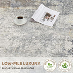 UERMEI 4x6 Area Rug Living Room Rugs - Image 6