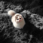 Black Fluffy Area Rugs for Bedroom 5x7, Soft Shaggy Washable Farmhouse Rugs | - Image 7