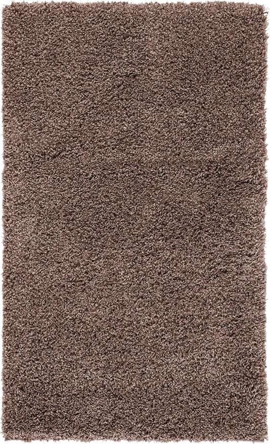 SAFAVIEH Area Rug 4x6 - Image 4
