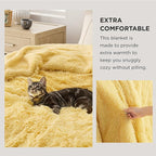 Bedsure GentleSoft Fluffy Yellow Blankets Queen Size - Image 3