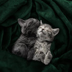 Utopia Bedding Soft Fleece Bed Blanket King Size Forest Green | Microfiber - Image 4