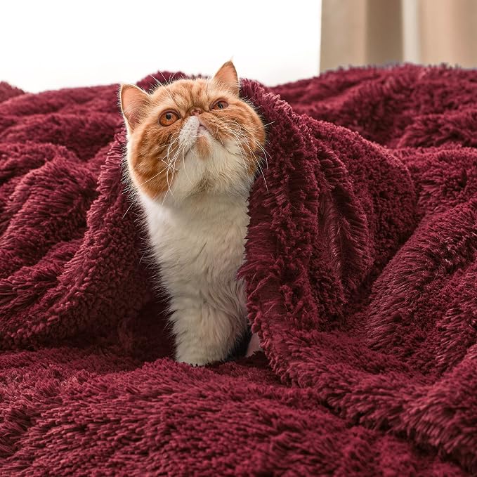 Bedsure GentleSoft Fluffy Burgundy Red King Size Blanket - Image 5