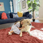 OLANLY 3x5 Machine Washable Small Bedside Rug, Soft Fluffy Shaggy Rugs - Image 5