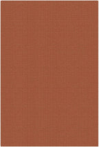KOZYFLY Washable 4x6 Entry Woven Area Rug, Braided Throw Rugs - Image 9