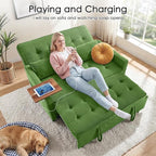 Sleeper Sofa Bed, Guest Room - Image 7