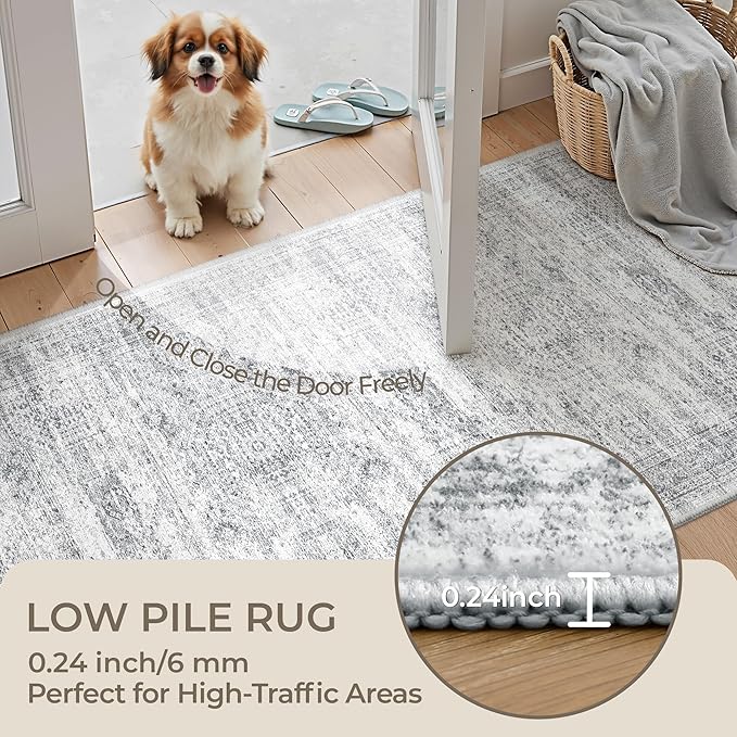 3x4 Rugs for Entryway, Washable Area Rug, Neutral Rug, Stain Resistant Indoor - Image 6