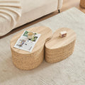 Cloud Nesting Coffee Table Set of 2 by Giofanzo