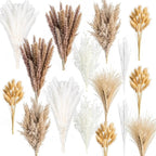 300PCS Natural Pampas Grass Mix Bouquet | Dried Pampas Bouquet - Image 3