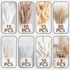Natural Pampas Grass 8kind Grass Mix Bouquet | Dried Pampas Bouquet - Image 4