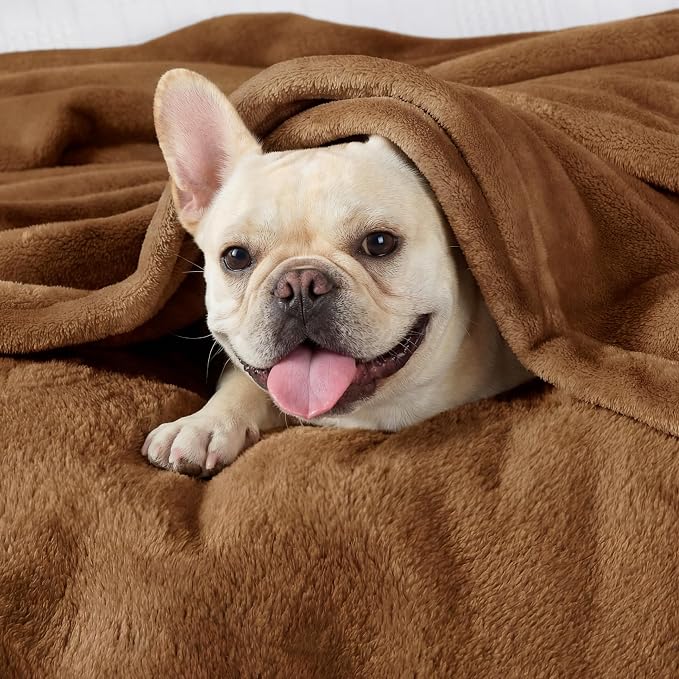 Bedsure GentleSoft Brown Throw Blanket - Image 3