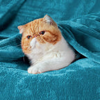 Bedsure GentleSoft Bedding Fleece Blanket - Image 7