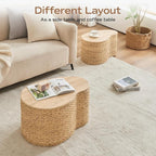 Cloud Nesting Coffee Table Set of 2 - Image 9
